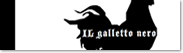 イタリア料理とワインのお店　IL GALLETTO NERO